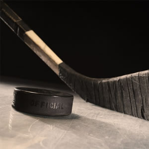 Sportarten Sport ALGE Timing baertiming Eishockey