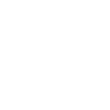 LiknkedIn Icon